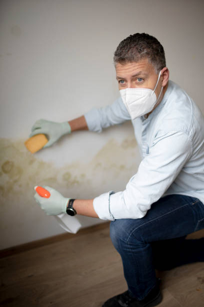 istock Man with protective mask tries to remove mold on wall 1370487570
