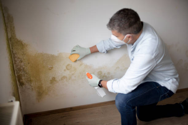 istock Man with protective mask tries to remove mold on wall 1370487657