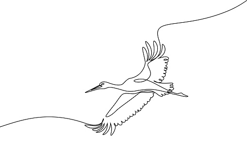 Stork flying in the sky in continuous line art drawing. Stork bird in flight black linear sketch isolated on white background. Vector illustration
