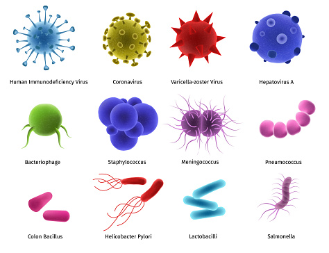 Virus microbe, isolated on white biology set, vector illustration. Organism illness hiv, coronavirus, staphylococcus bacteria collection. Microbiology element salmonella, lactobacilli, meningococcus.