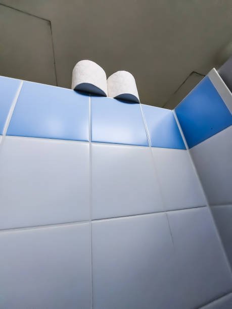 istock Toilet paper stands on a ledge 1370492100