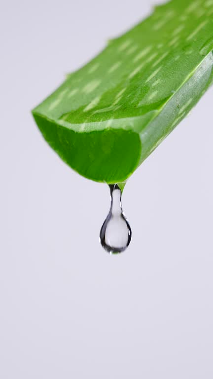 Water purity drop from Aloe vera