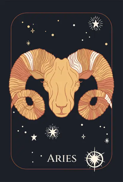 Vector illustration of aries, sheep head