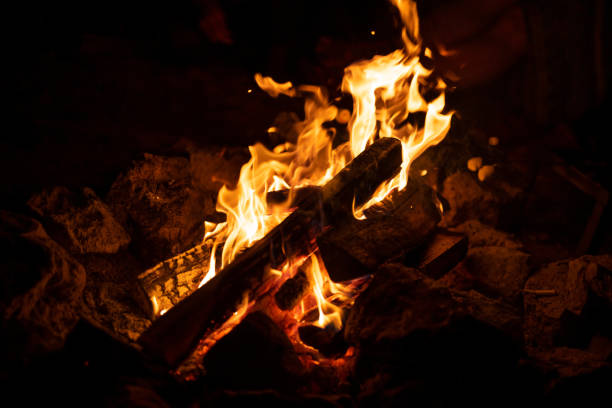 Bonfire. The fire. Flames. Burning firewood. Night. Forest.