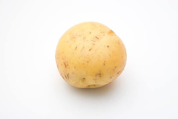 istock Single golden Idaho Potato 137050437