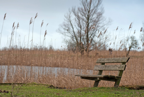 A wooden bench with a beautiful lake view