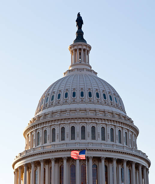 istock Flag flies in front of Capitol building 137050691