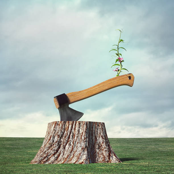 Hatchet on a snag with a growing plant on it. Rebranding and rebirth concept. This is a 3d render illustration