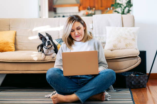 młoda kobieta pracująca w domu z psem boston terrier. freelancer bizneswoman korzystająca z laptopa w słonecznym pokoju.  uczeń uczący się i pracujący w domu. - looking at laptop zdjęcia i obrazy z banku zdjęć