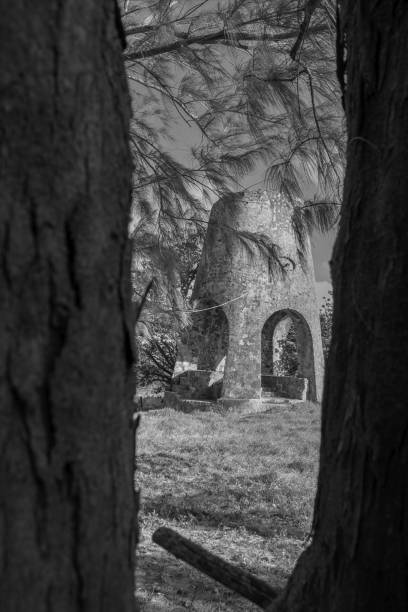 istock Vertical of an old windmill seen from among trees 1370512611
