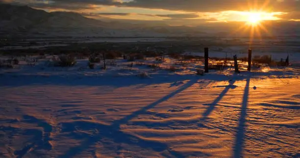 Sunrise or sunset sunlight on fenceposts casting shadows across the snow covered ground