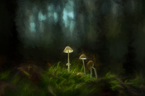 Digital painting of fantasy mushrooms glowing in a dark magical enchanted woodland.