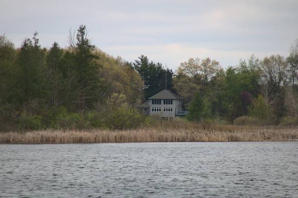 istock House in the woods 1370514330
