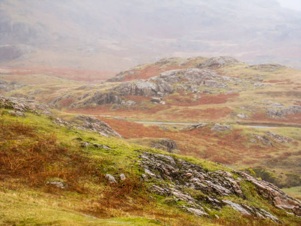 i wasdale screes, ricoperti dalle praterie alpine riccamente colorate in una fredda giornata nebbiosa nel lake district. - screes foto e immagini stock