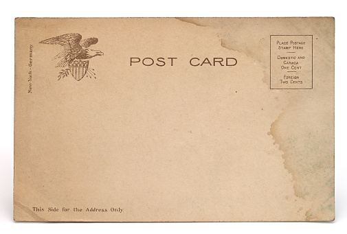 Vintage Blank Postcard.
