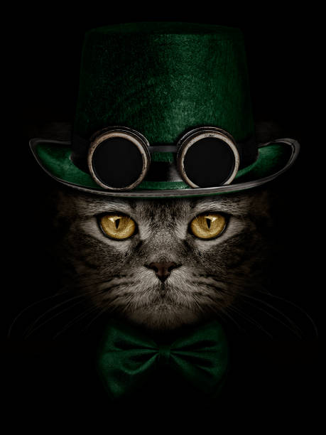 istock dark muzzle cat  in green hat with canned glasses  and tie butterfly 1370519286
