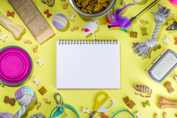 Pet food and accessories