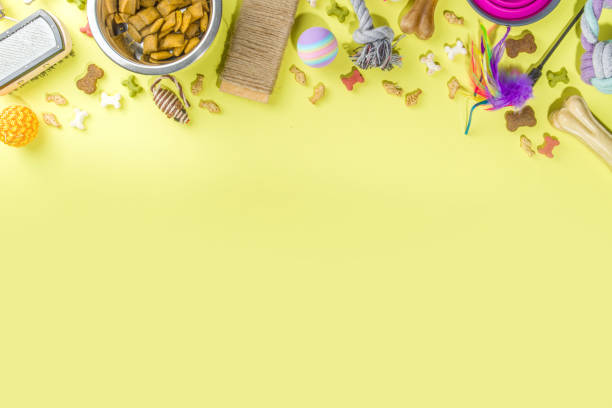 istock Pet food and accessories 1370522363