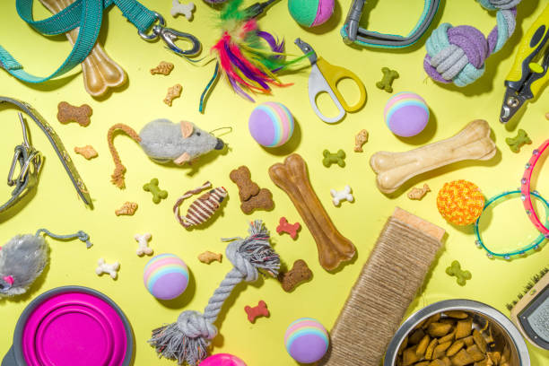 Pet food and accessories