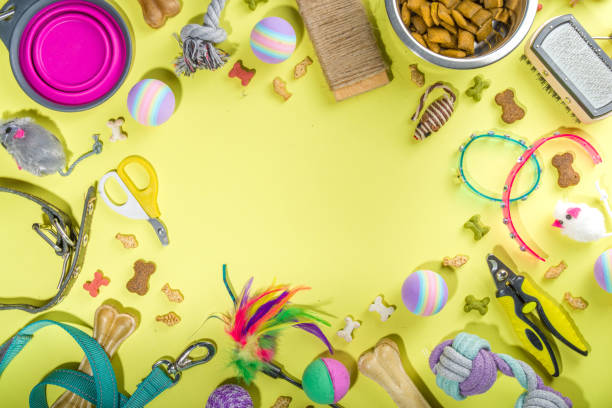 Pet food and accessories