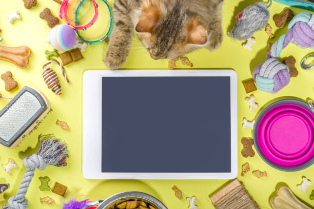Pet food and accessories