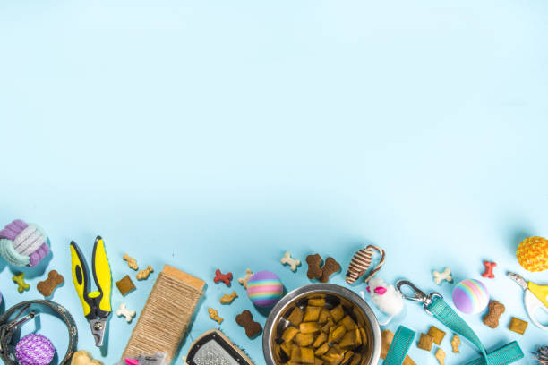 istock Pet food and accessories 1370522481