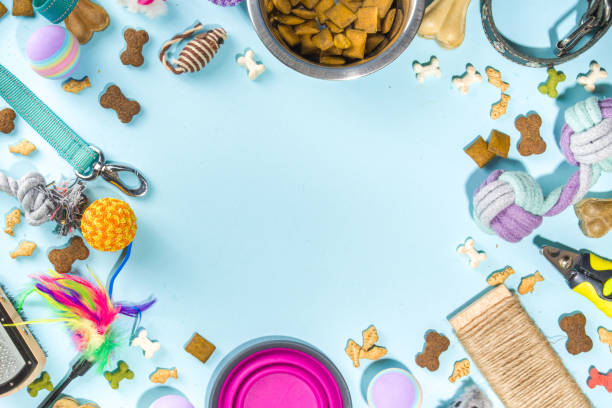 istock Pet food and accessories 1370522622