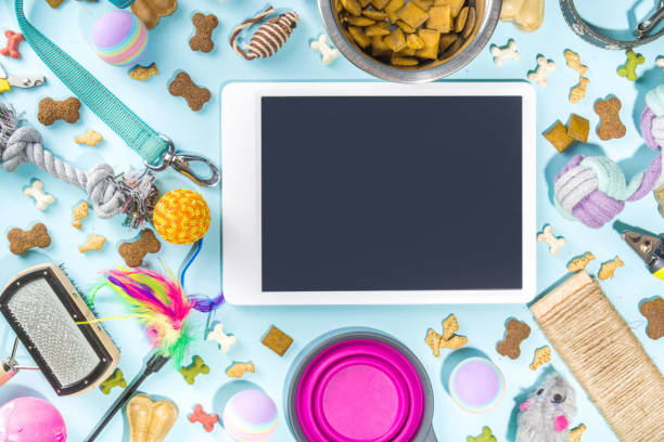 istock Pet food and accessories 1370522623