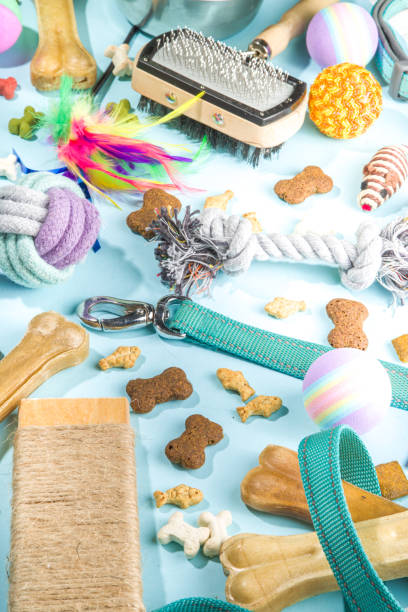 istock Pet food and accessories 1370522624