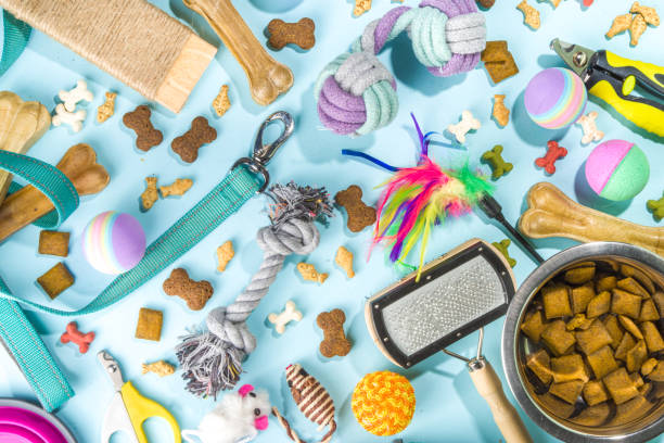 istock Pet food and accessories 1370522625