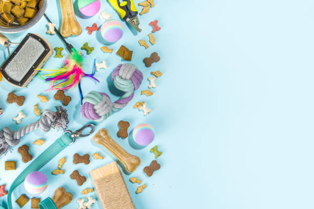 istock Pet food and accessories 1370522627