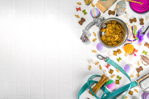 istock Pet food and accessories 1370522707