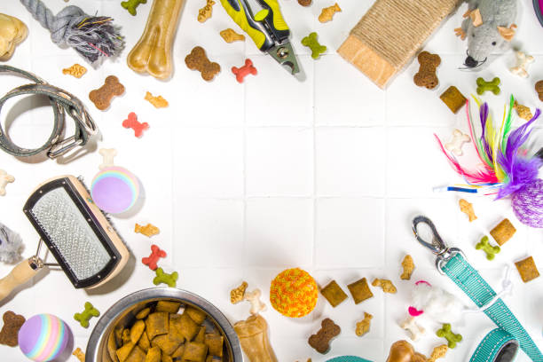 istock Pet food and accessories 1370522719