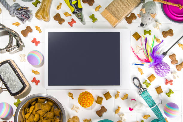 istock Pet food and accessories 1370522726