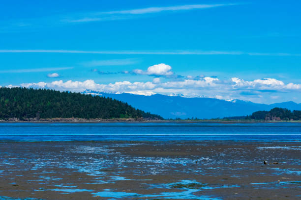 istock Skagit Bay Flats and North Cascades 1370522837
