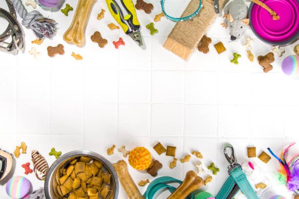 istock Pet food and accessories 1370522884