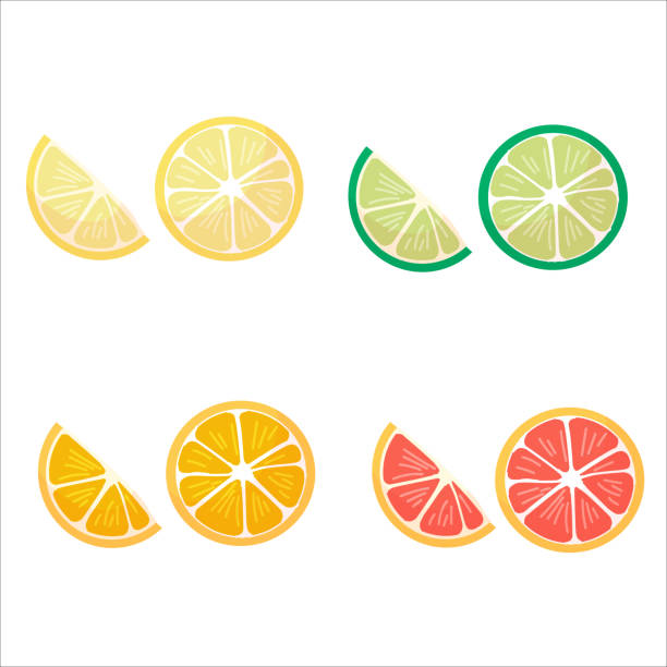 illustrazioni stock, clip art, cartoni animati e icone di tendenza di una serie di prelibatezze estive. agrumi. arancia, limone, lime e pompelmo. illustrazione vettoriale isolata su sfondo bianco. - lime ripe fruit citrus fruit