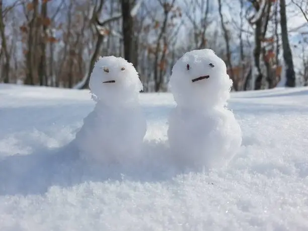 Human pair boy and girl made of snow