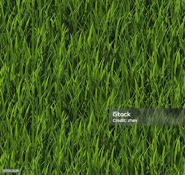 타일 애니메이션 잔디 0명에 대한 스톡 사진 및 기타 이미지 - 0명, 3차원 형태, 꽃무늬