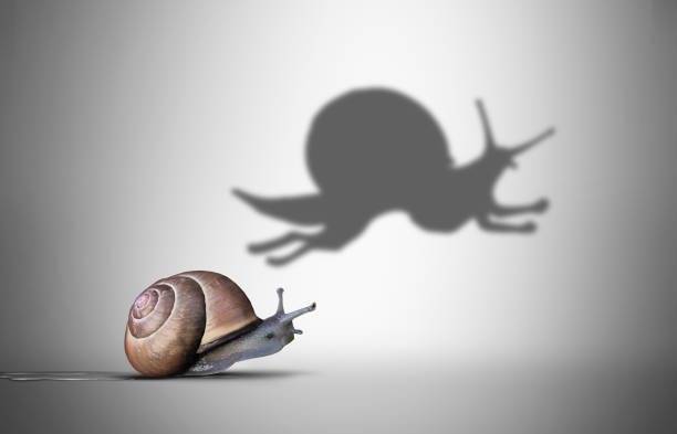 Aspiration Metaphor Aspiration metaphor and inner power concept as a symbol for motivational feeling to aspire to great skill as a slow snail with a shadow of a fast cheetah shape in a 3D illustration style. possible stock pictures, royalty-free photos & images