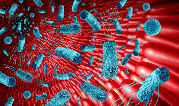 창자에 있는 미생물군유전체 - cholera bacterium 뉴스 사진 이미지