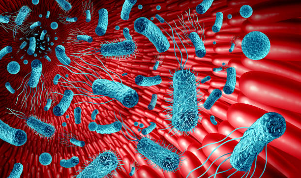 Microbiome In The Gut Microbiome in the gut concept as bacteria flora inside an intestine as a digestion symbol inside the intestinal tract with 3D illustration elements. vibrio stock pictures, royalty-free photos & images