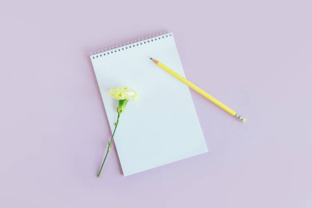 istock Notebook with blank page and Carnation flower on a violet pastel background. 1370531775