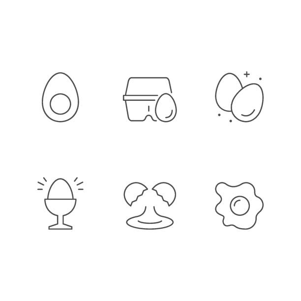 illustrations, cliparts, dessins animés et icônes de définir les icônes de ligne de l’œuf - eggs animal egg cracked egg yolk