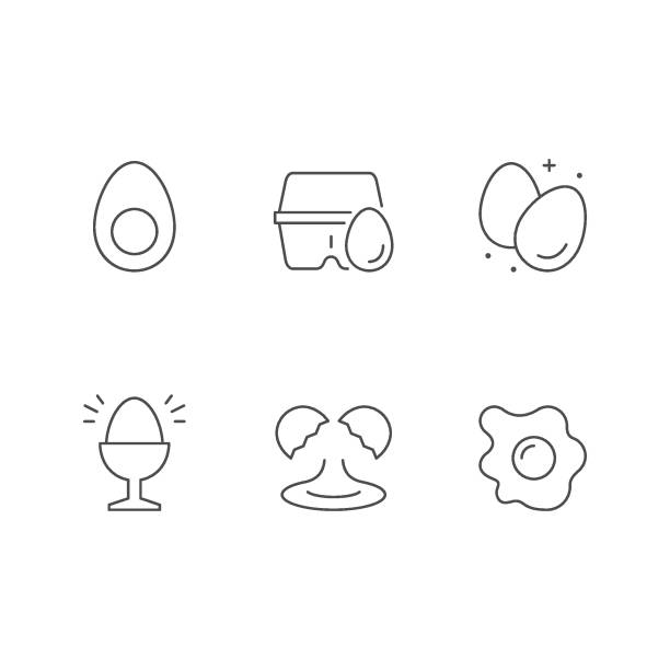 ustaw ikony linii jajka - eggs animal egg cracked egg yolk stock illustrations