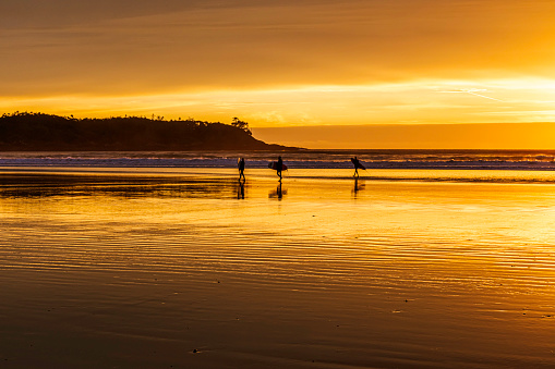 The silhouette of surfers at Sunset on Cox Bay Beach, Tofino, British Columbia, Canada