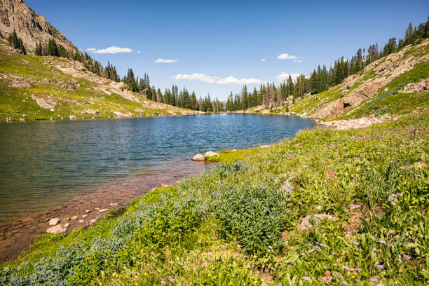 istock Willow Lake in the Eagles Nest Wilderness 1370538865