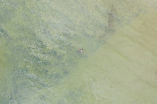 istock Overhead aerial image of two people floating in Cape Cod Bay on 1370538890