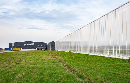 Waddinxveen, Netherlands - February 2022: Main building with greenhouses of pepper nursery 