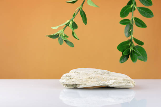 istock Stone podium and green leaves. 1370541662